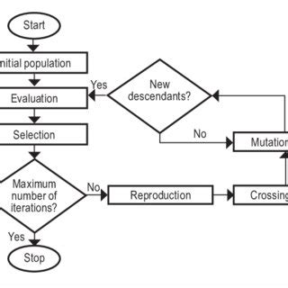 Image result for Evolution Algorithm Python
