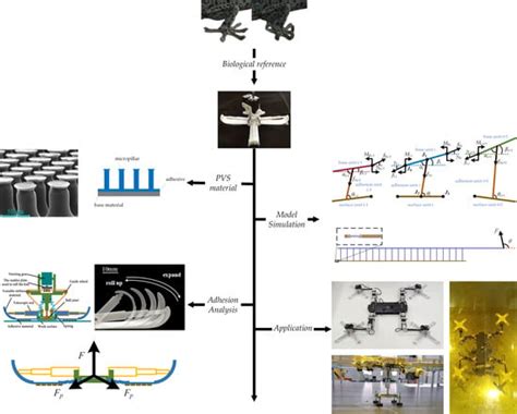 Design of a Variable Stiffness Gecko-Inspired Foot and Adhesion ...