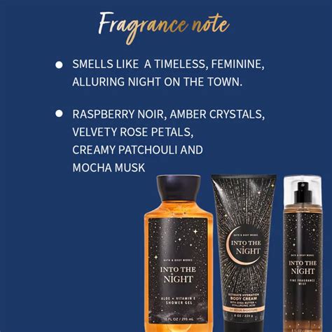 Bath & Body Works Into the Night Fine Fragrance Mist (236ml) – Pari ...