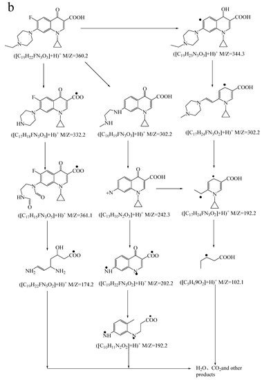 Catalysts | January 2021 - Browse Articles