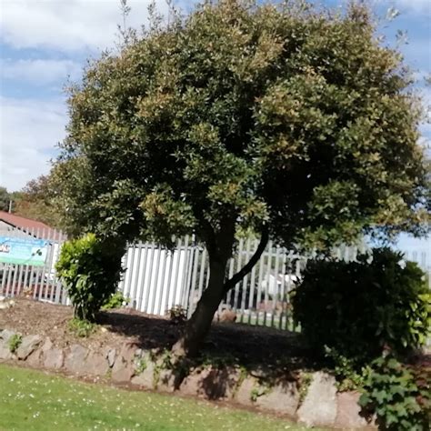 ASHCOMBE PARK (2026) All You Need to Know BEFORE You Go (with Photos ...