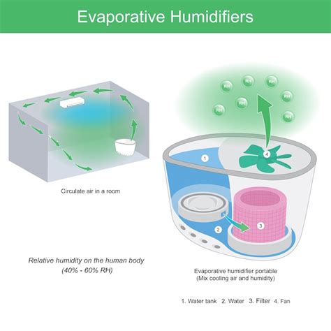 흡수 과정 이미지 - Freepik에서 무료 다운로드