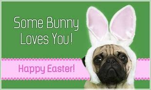 Image result for Some Bunny Loves You Printable