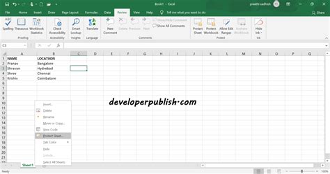 Excel Sheet Protection 的图像结果