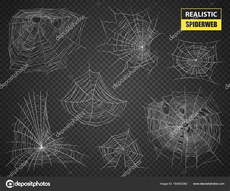 Image result for Realistic Spider Web
