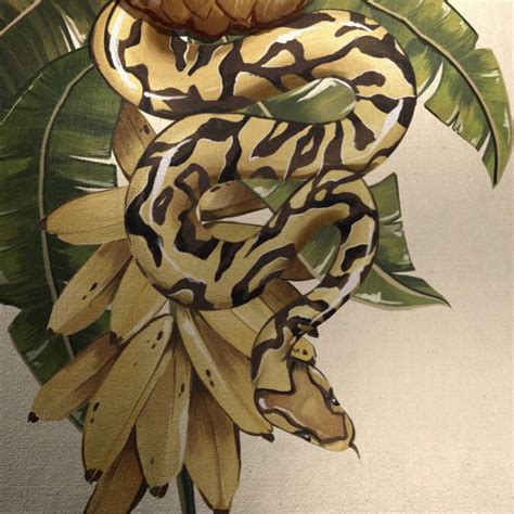 Image result for Mickey Mouse Head Turtle Python