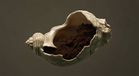 What Is the Role of TSF Capping and Revegetation in Pollution Control ...