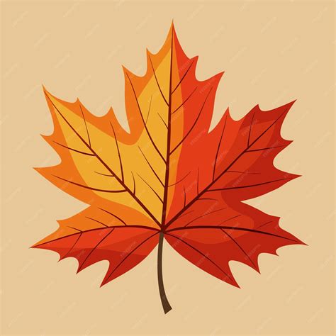 Maple Leaves Clip Art Desenho de Ilustração Vector | vetor Premium ...