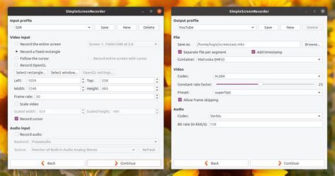 Image result for Simple Screen Recorder