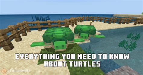 Minecraft ComputerCraft Turtles 的图像结果