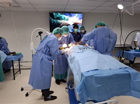 Prosthetic Radial Head 的图像结果