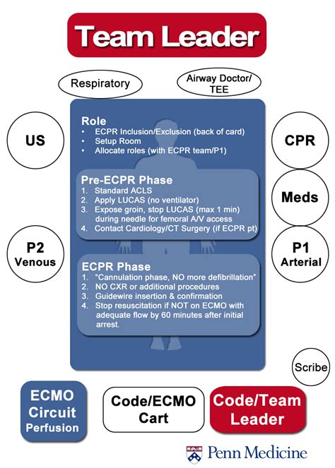 Resuscitation Choreography - Roles, logistics, and prebriefing ...