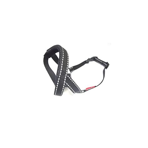Buy Headcollar Set , Reflective Padded Head Collar and Lead Dog ...