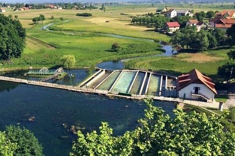 CROATIAN CENTER FOR FISH AND CRAWFISH IN CARSTIC WATERS - All You Need ...