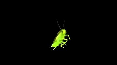 Cockroach Dance Song 的图像结果