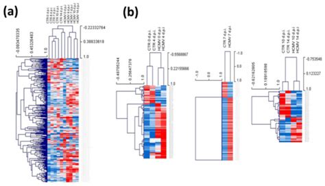 Cells | Special Issue : Molecular Mechanisms in Organ Fibrosis