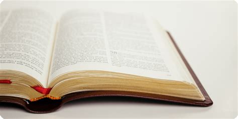 Scripture Loop 的图像结果