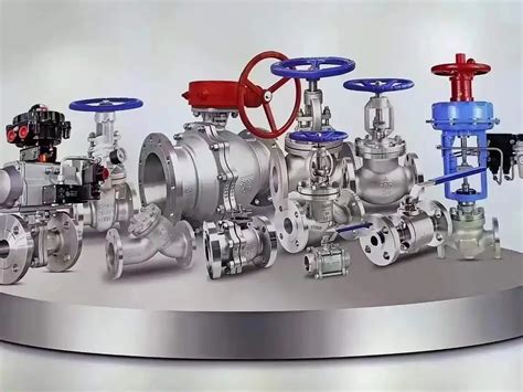 Valve Types and Functions 的图像结果