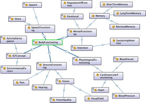 Image result for ICF Body Structures