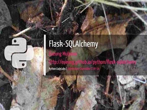 Image result for Flask-SQLAlchemy