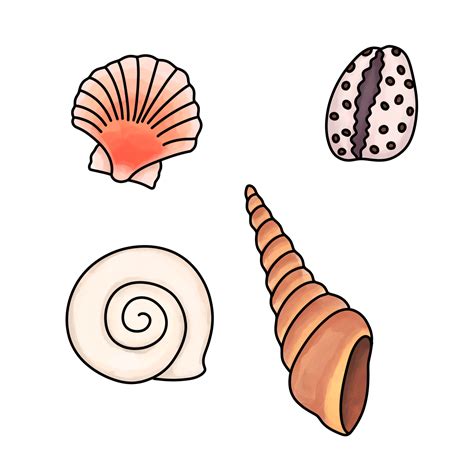 Shell Drawing 的图像结果