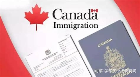 加拿大签证大小签的区别 - 知乎