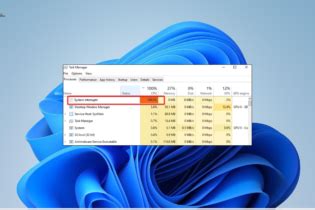 Image result for System Interrupts How to Fix Command