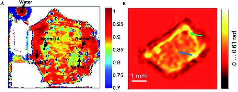 テラヘルツ波細胞光磁気健康装置電気加熱療法ヘアブロワー細胞健康Thz理学療法プレート 【52%OFF!】
