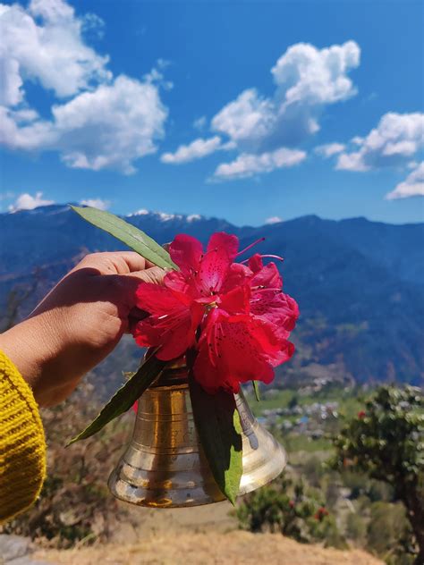 A Letter of Joy for the Great Souls | by Suravi Sharan | Medium