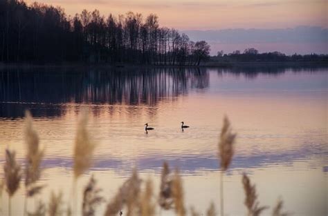 ATPŪTAS BĀZES VIROGNA (Spogi) - Guesthouse Reviews & Photos - Tripadvisor