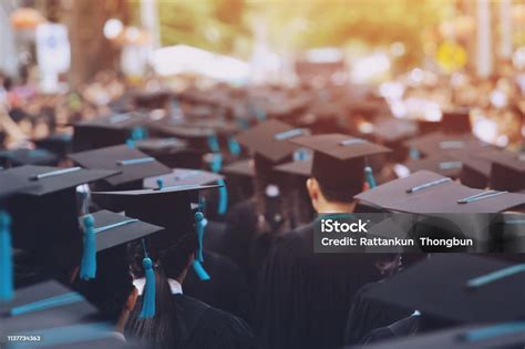 Graduates 的图像结果