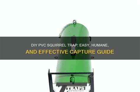 Image result for PVC Squirrel Trap