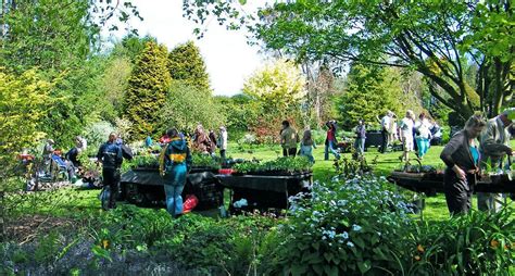 Llanllyr NGS Open Day and Plant Fair, Llanllyr, Lampeter, 23 June 2024 ...