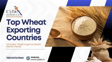 Top Wheat Exporting Countries, HS Codes & Global Trade Trends