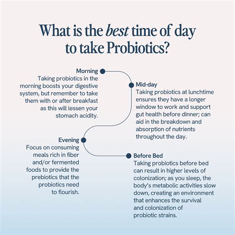 The Best Time to Take Probiotics? It's Not What You Think – Happy V