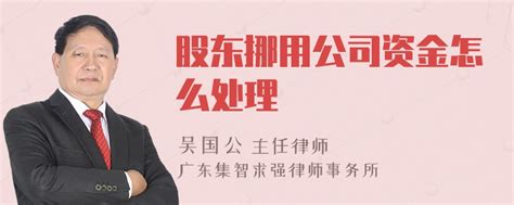 股东挪用公司资金怎么处理-律师普法-法师兄