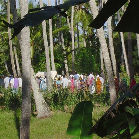Mijikenda Tribe: Kenya’s Sacred Kaya Forest Dwellers and Traditional Healers