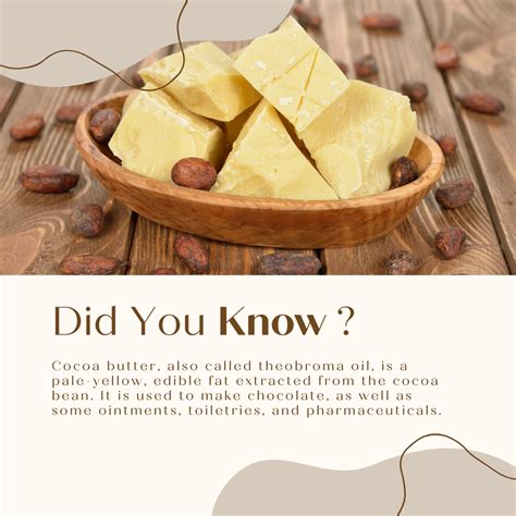 What Is Cocoa Butter?