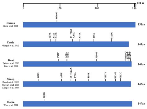 The First Report of Genetic Polymorphisms of the Equine SPRN Gene in ...