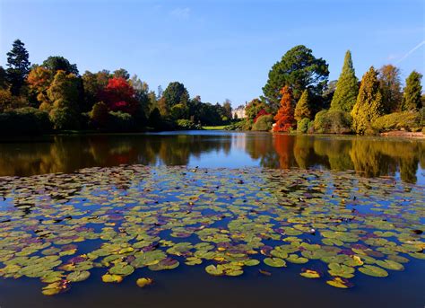 Sheffield, England, Parks, Pond, HD Wallpaper | Rare Gallery