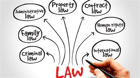 Different Types of Law 的图像结果