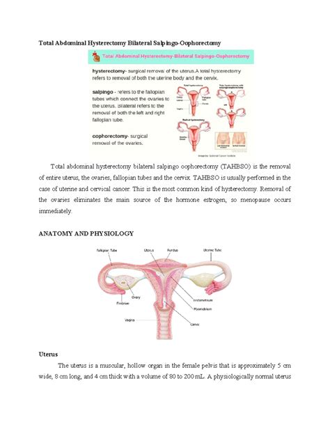 TAHBSO: Total Abdominal Hysterectomy & Bilateral Salpingo-Oophorectomy Guide - Studocu