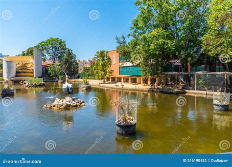 Duck Pond at Royal Gardens in Spanish City Valencia Stock Photo - Image ...