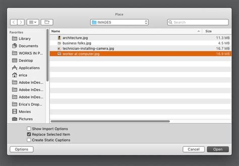 Image result for How to Insert Picture in InDesign File