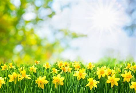 MediYoga ~ Medisinsk Yoga ~ Mykere i kroppen - Dyp, rolig pust - indre ...