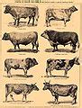 Image result for Matplotlib Free Image
