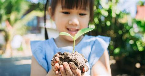 Washing Tree Activities 的图像结果