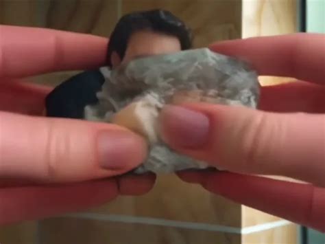 Image result for Python Squish