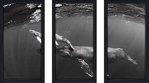 Picture Perfect International Craig Dietrich First Steps Framed ...