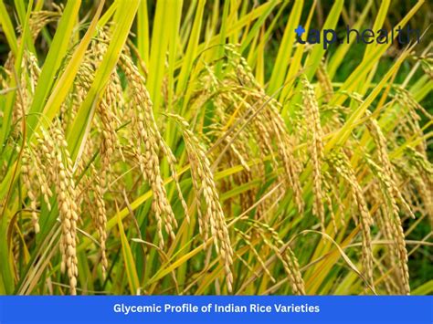 Low Glycemic Index Rice in India: Best Varieties for Diabetics